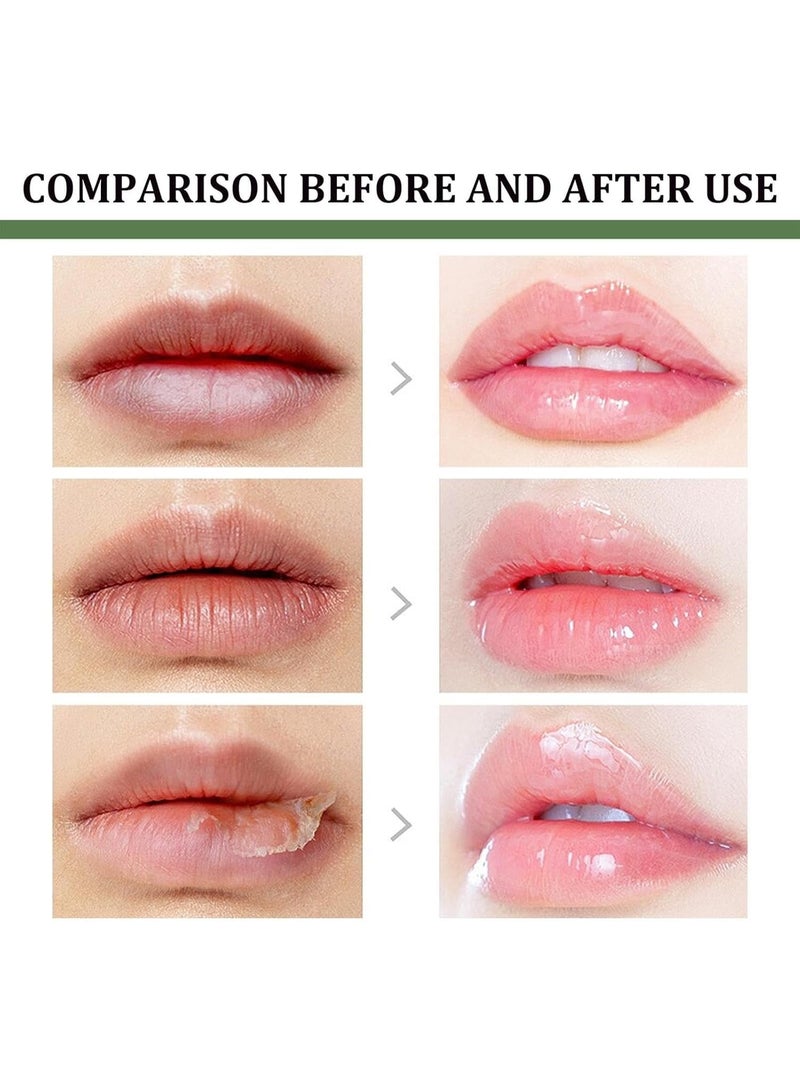 EELHOE Hydrating Aloe Lip Balm by EELHOE, Lightweight Non-Sticky Formula for Intensive Lip Care, Protects Lips from Dryness, Nourishes Deeply and Keeps Lips Soft All Day Long - Image 3